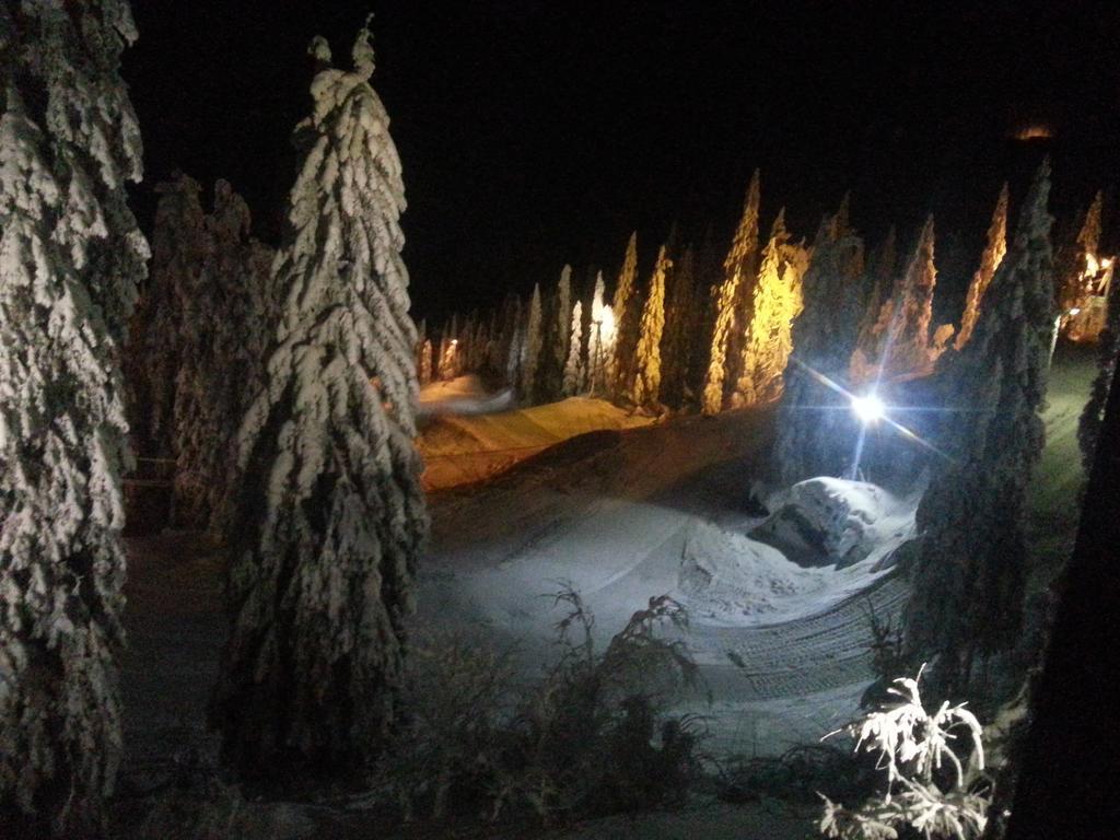 Koli Freetime Cottages Ahmovaara Exterior photo